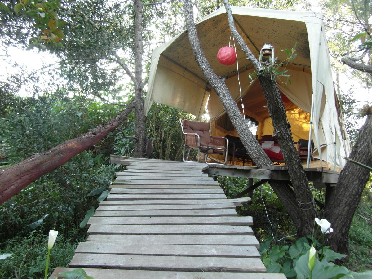 Dijembe Backpackers Lodge Stormsrivier Exterior photo
