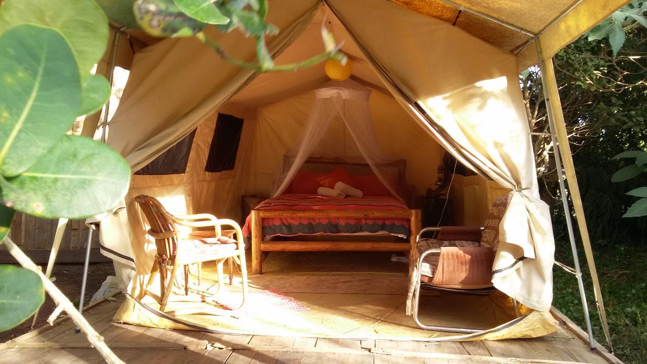 Dijembe Backpackers Lodge Stormsrivier Exterior photo