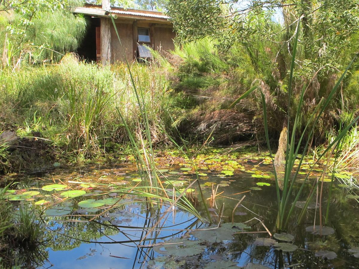 Dijembe Backpackers Lodge Stormsrivier Exterior photo